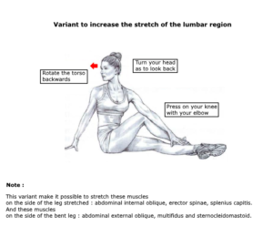 stretching glutes variant 