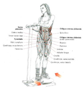 machine trunk rotation abs